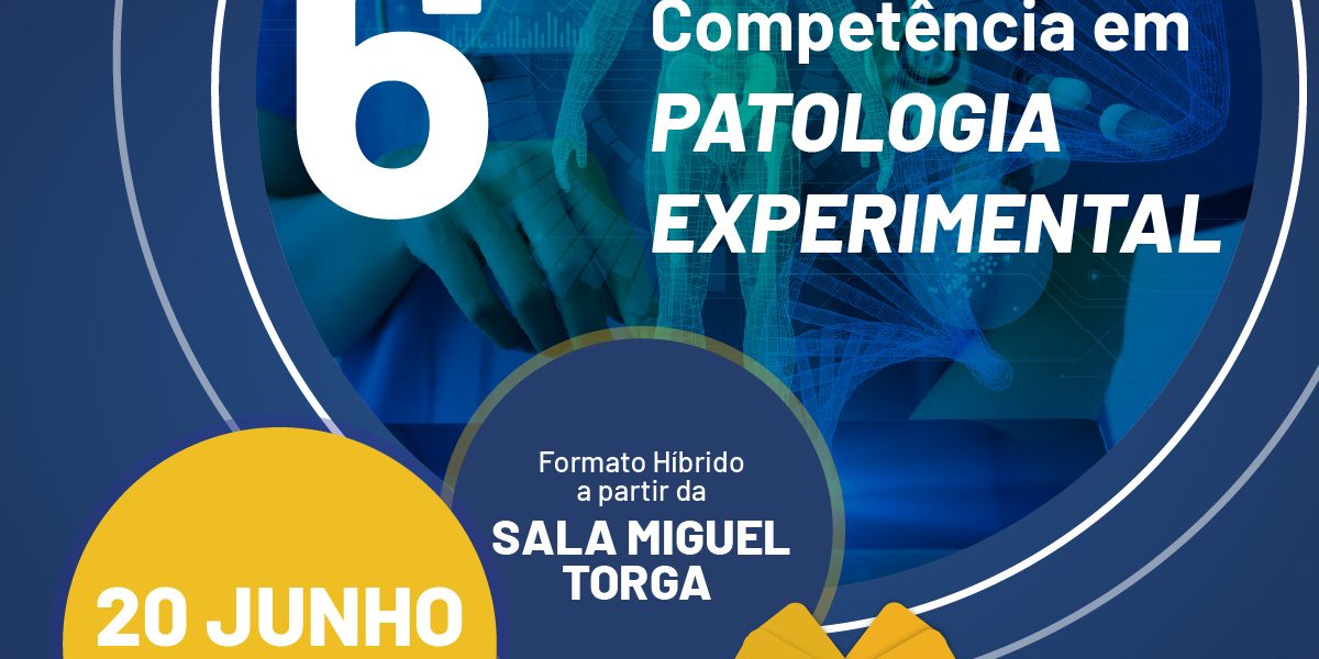 6asXJornadasXCompetencia_FBX-XXXPOST