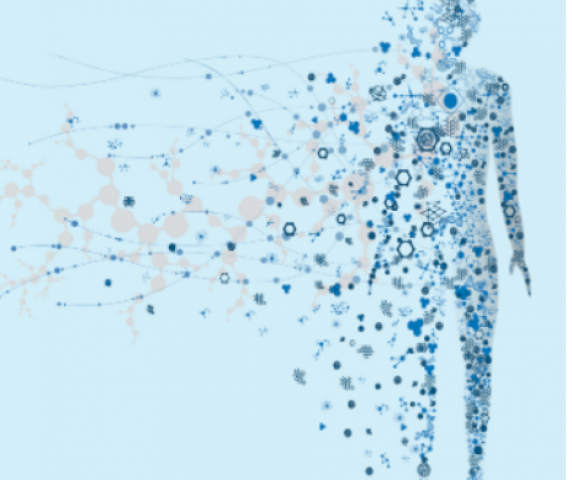 Captura de ecrã 2022-02-24, às 17.53.49