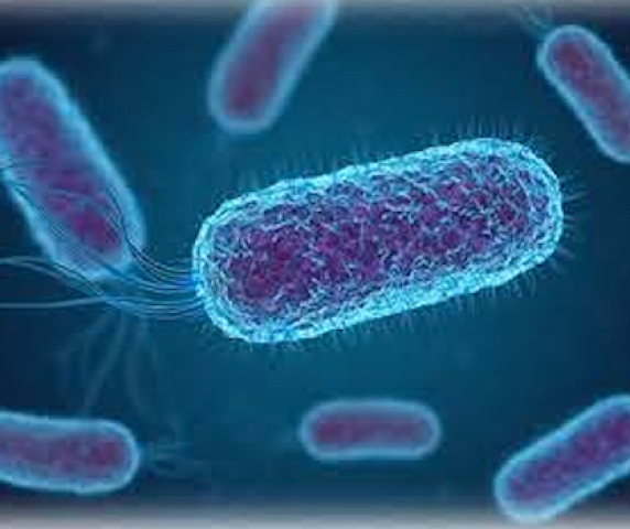 captura-de-ecra-2022-09-29-as-10-02-16