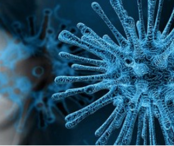 captura_de_ecra_2020_02_26_a_s_18_05_45