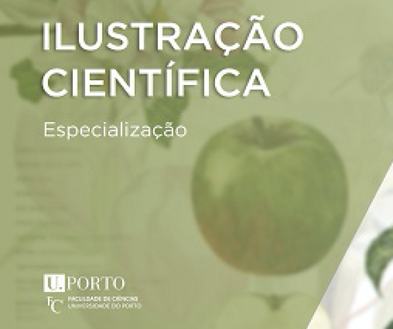 capturaxdexecraxxx2024-07-05xxaxxsx15-21x-13x