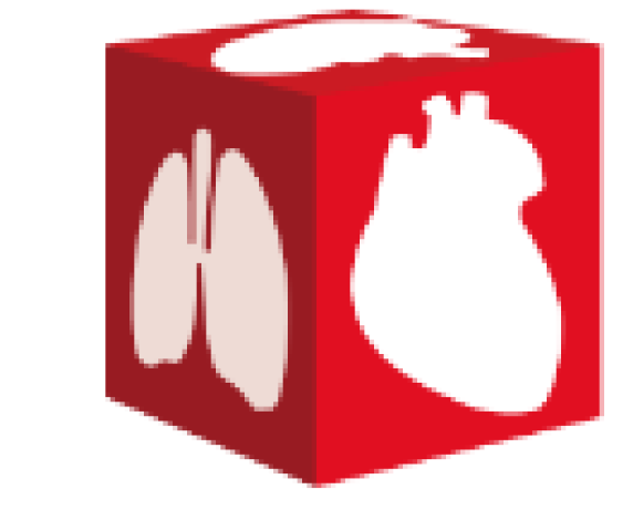 CapturaXdeXecraXXX2025-08-14XXaXXsX14.25X.42X