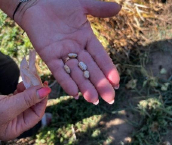 CapturaXdeXecraXXX2025-10-02XXaXXsX10.21X.36X