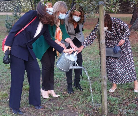 Rega da Oliveira 2021